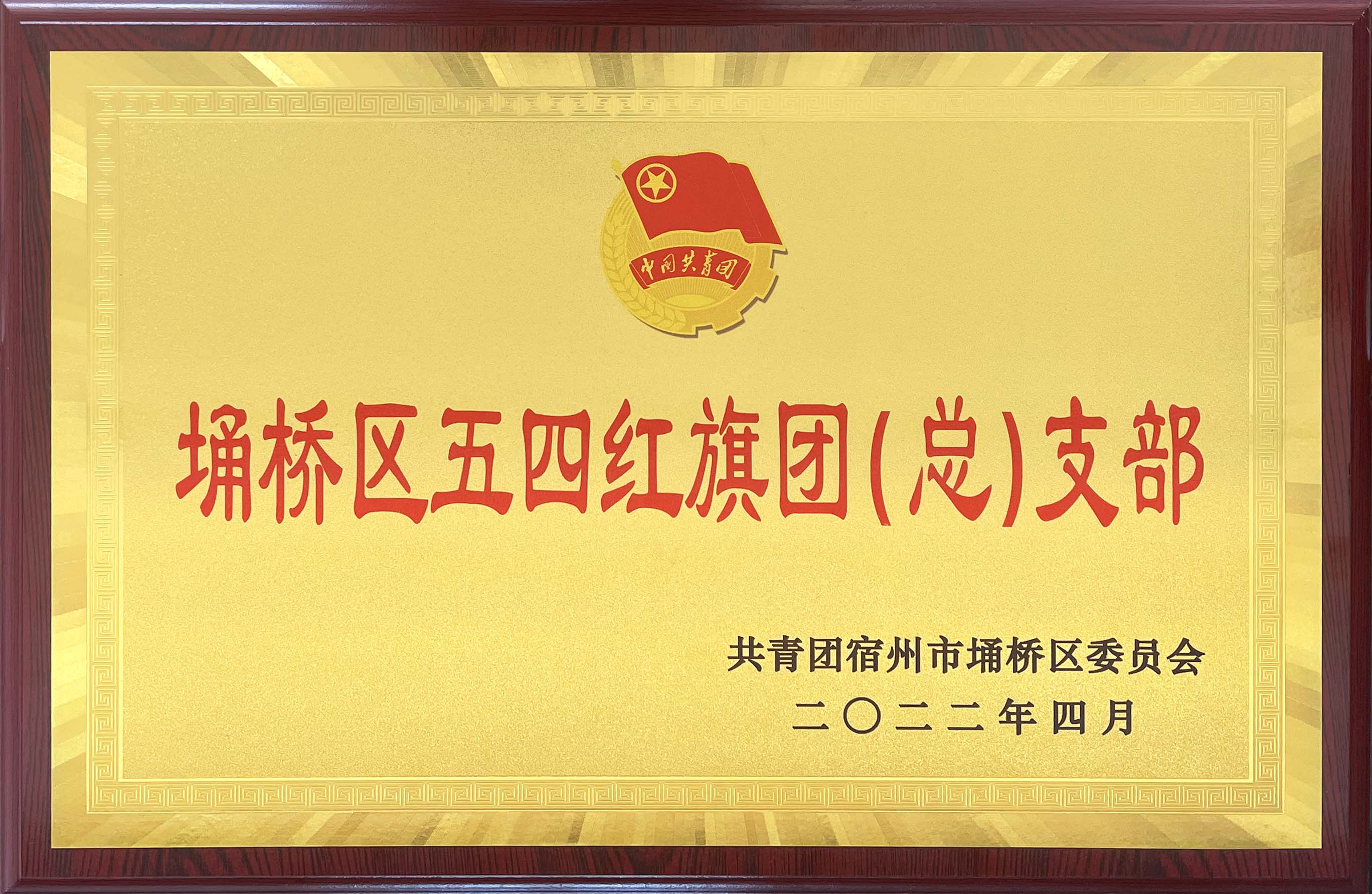 热烈祝贺安徽万硕科技产业（集团）有限公司团支部获评“埇桥区五四红旗团（总）支部”称号