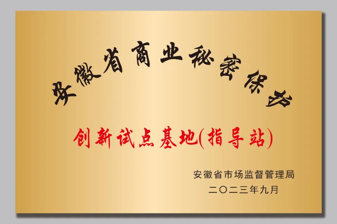 万硕集团董事长祝云辉受邀参加第一批安徽省商业秘密保护创新试点启动会暨全省商业秘密保护工作推进会并做交流发言